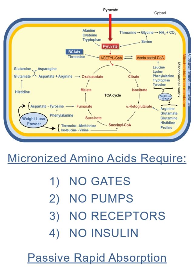 Shotsnshakes card Krebs_page-0002